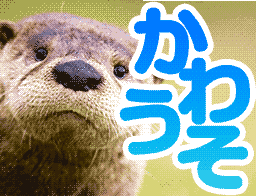 :kawauso: