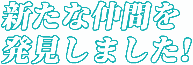 :aratana_nakamawo_hakken_shimashita: