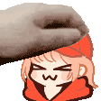 :petthex_yotimu: