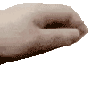 :petthex: